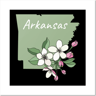 Arkansas Apple Blossom Posters and Art